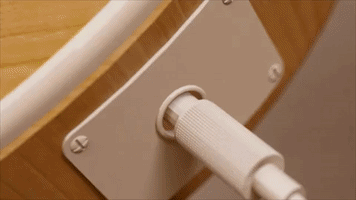 Mtv Animation GIF
