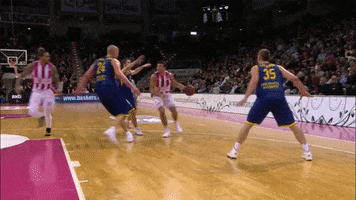 alley oop dunk GIF by easyCredit Basketball Bundesliga