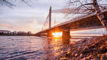 White Night Summer GIF