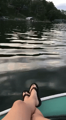 Long Legged GIFs - Find & Share on GIPHY