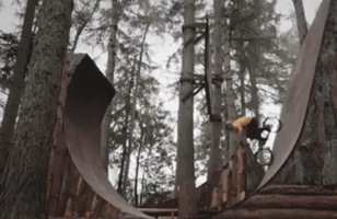 loop flipping GIF by Electric Cyclery