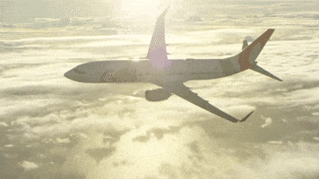 Travel Flying GIF by GOL Linhas Aéreas
