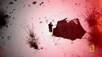 life below zero GIF by National Geographic Channel