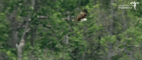 Https Encrypted Tbn0 Gstatic Com Images Q Tbn 3aand9gcqzroico Qn9viszlr1fh0u5dlupikgwhyqeuxejw Inbd 2jln