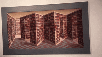 shanachiecarroll  GIF