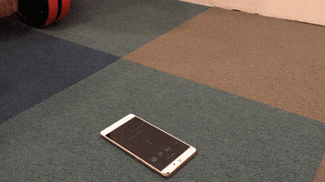 200.gif?cid=fc005b086257f7d088e3611af9b2990cbc3d30dd23357847&rid=200.gif&ct=g