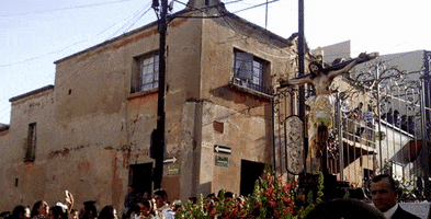 7diastepa  GIF