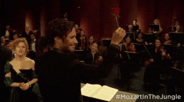 season 1 GIF by Mozart In The Jungle