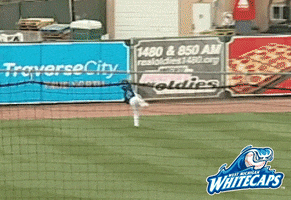 grand rapids hat GIF by West Michigan Whitecaps 