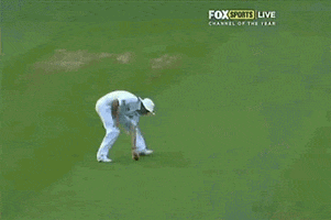 musaib_official #cricket #catch #ball #through #musaibjeelani GIF