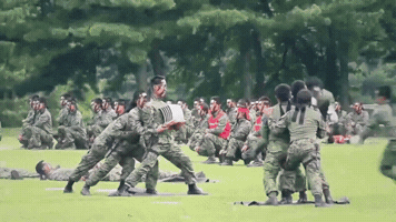 artworkofarmies  GIF