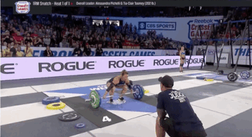FLOELITE  GIF