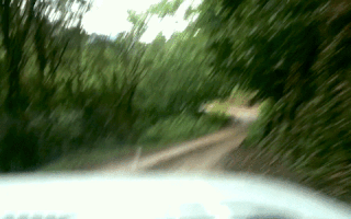 Slavanazdarvyletu georgia batumi gruzie slava nazdar vyletu GIF