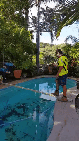 rickhuaynate  GIF