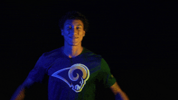Los Angeles Rams GIF by NFL