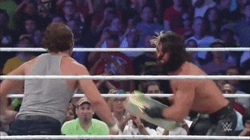 Seth Rollins Wrestling GIF by WWE