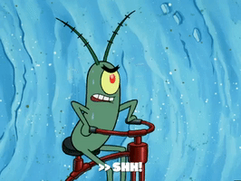 200.gif?cid=fc005b08f08a56c5ab8fe46fb067a262b5afe12424806693&rid=200.gif&ct=g
