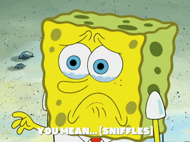 200.gif?cid=fc005b08eb4f4e3506e0791b0df990702cb51522a02e34f5&rid=200.gif&ct=g