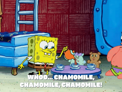 Season 5 Episode 10 GIF by SpongeBob SquarePants - Find & Share on GIPHY