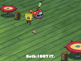 200.gif?cid=fc005b081cef24fb5809ed171500bb06dc8fbe09c4586429&rid=200.gif&ct=g