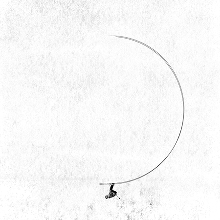 Carl Hanser Verlag GIF