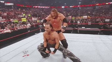 d generation x dx GIF by WWE
