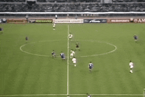 dariovismara  GIF