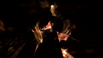 filmakr ios review smartphone apps GIF