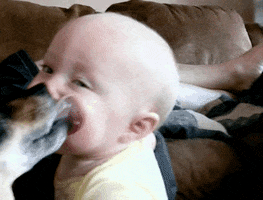 Americas Funniest Home Videos GIF by AFV Babies