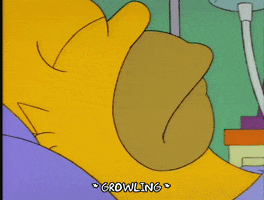 Season 4 Sleeping GIF by The Simpsons