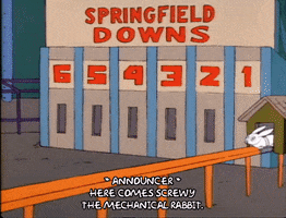 Season 1 Springfield Downs GIF by The Simpsons