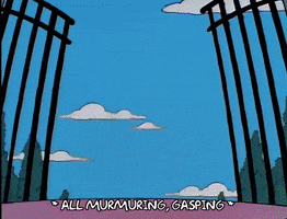 200.gif?cid=fc005b08f5b1af62078566b54fa094726e42ca3e07ac9755&rid=200.gif&ct=g