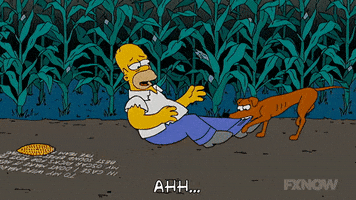 200.gif?cid=fc005b08f135dd7f6e9a367f9faca8af988c46b950ed7e51&rid=200.gif&ct=g