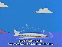 the simpsons airplane GIF