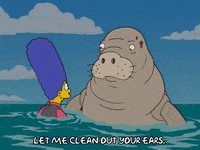 Ear-wax GIFs - Get the best GIF on GIPHY Ear-wax GIFs - Get the best GIF on GIPHY