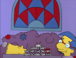 Season 1 Millhouse Van Houten GIF by The Simpsons