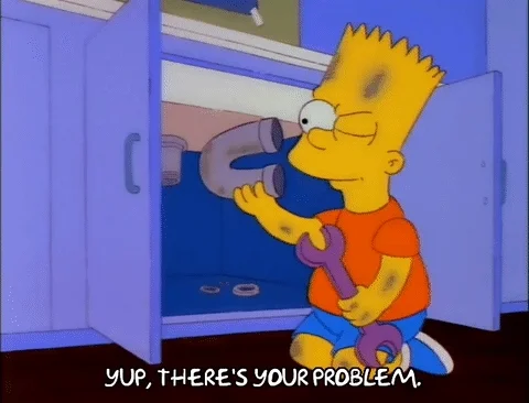 giphy.webp