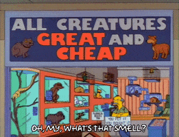 200.gif?cid=fc005b085e851e372424a5b5594b8f05e10ea5f7110d5556&rid=200.gif&ct=g