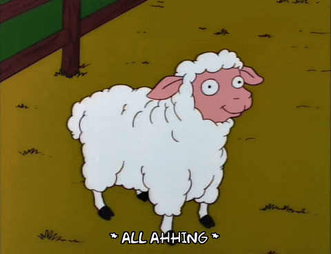 Season 7 Sheep GIF - Find & Share on GIPHY