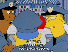 200.gif?cid=fc005b08c03585839040be99a8155b27c3d0c9c81756d36f&rid=200.gif&ct=g