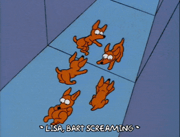 200.gif?cid=fc005b08191e360f7ad306d46efb4d9abbf09736d3e4fcab&rid=200.gif&ct=g