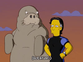 Episode 1 Sky GIF by The Simpsons