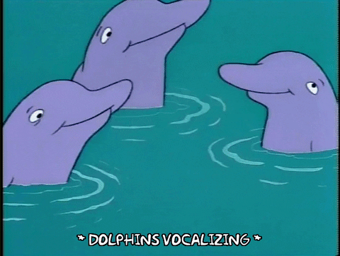 temporada 5 delfines GIF
