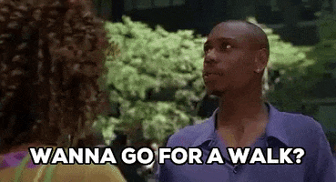 dave chappelle wanna go for a walk GIF