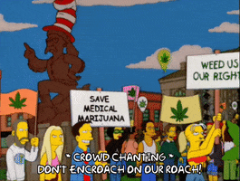 Episode 16 Weed GIF by The Simpsons