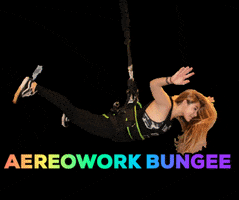 Bungee Aereowork Aereoworkbungee Fly Fitness Aerial Fun Colors Workout GIF by AWBungee