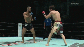 vitaliykostyrenko zst keisuke fujiwara GIF