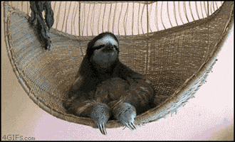 il  GIF