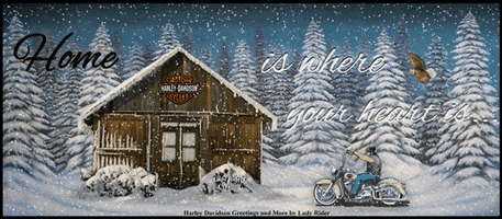 Harley davidson greetings and more by lady rider hotsell