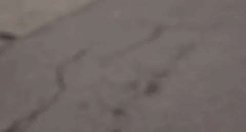 Relapse Records Watch GIF by Red Fang